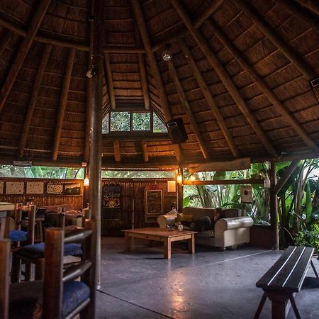 Fairy Knowe Backpackers Lodge Wildernis Екстериор снимка