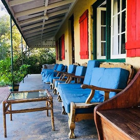 Fairy Knowe Backpackers Lodge Wildernis Екстериор снимка