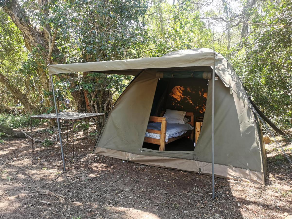 Fairy Knowe Backpackers Lodge Wildernis Екстериор снимка