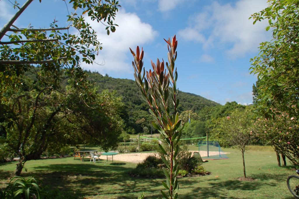 Fairy Knowe Backpackers Lodge Wildernis Екстериор снимка