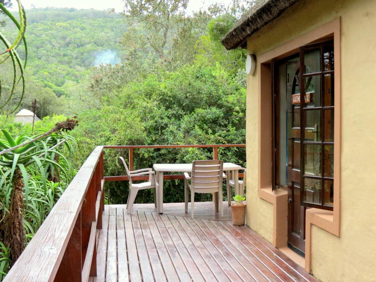 Fairy Knowe Backpackers Lodge Wildernis Екстериор снимка