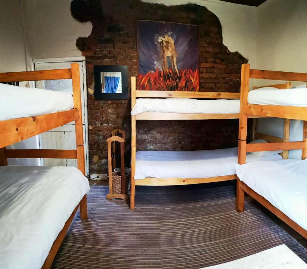Fairy Knowe Backpackers Lodge Wildernis Екстериор снимка